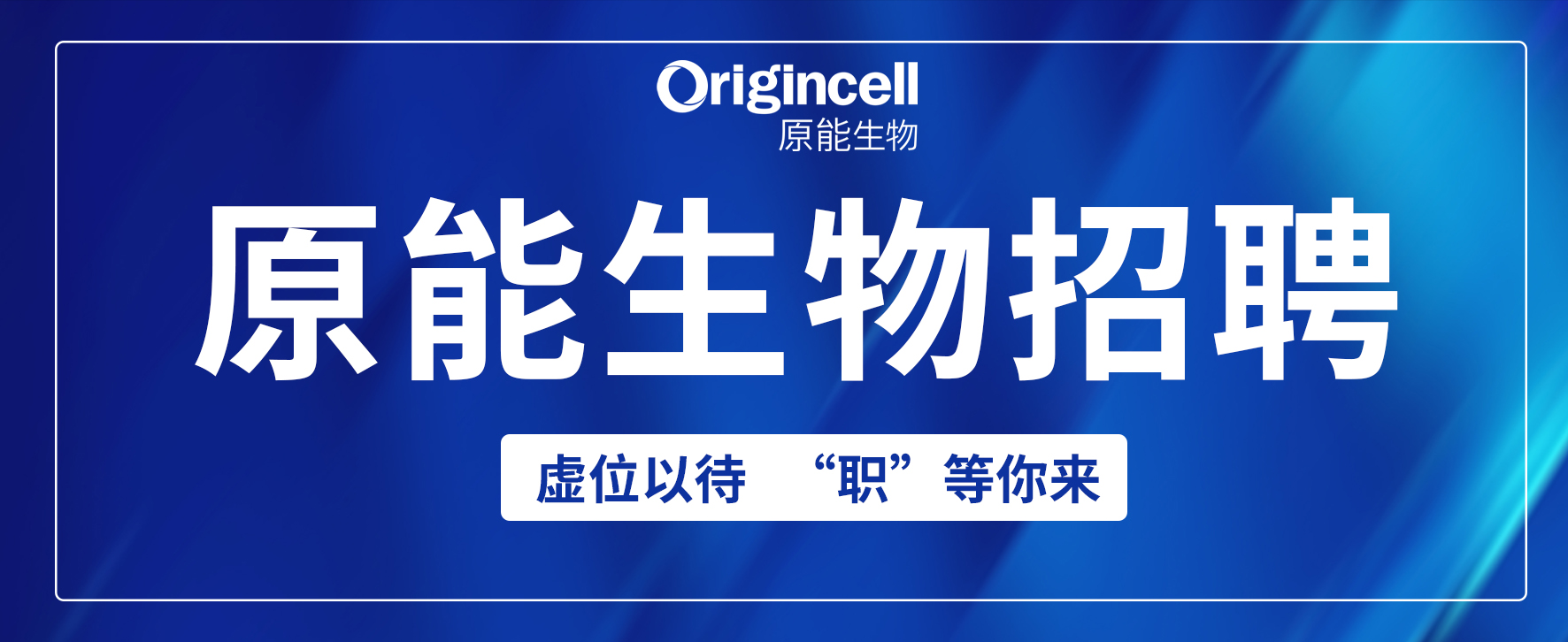 招聘主圖